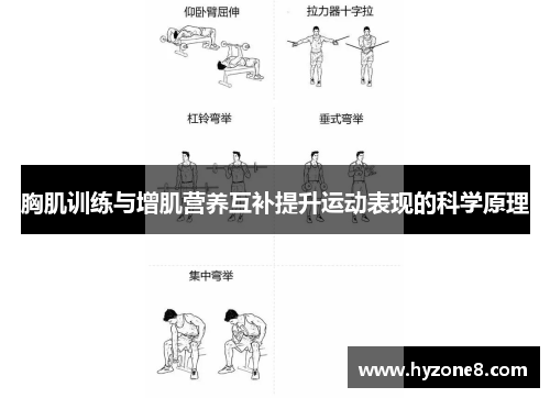胸肌训练与增肌营养互补提升运动表现的科学原理